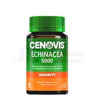 60 CAPSULES CENOVIS ECHINACEA 5000MG