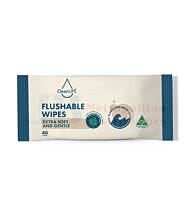 40 PACK CLEANLIFE FLUSHABLE WIPES