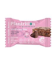 30G PLANTRITION WELLBEING BITE CHOC FUDGE BROWNIE